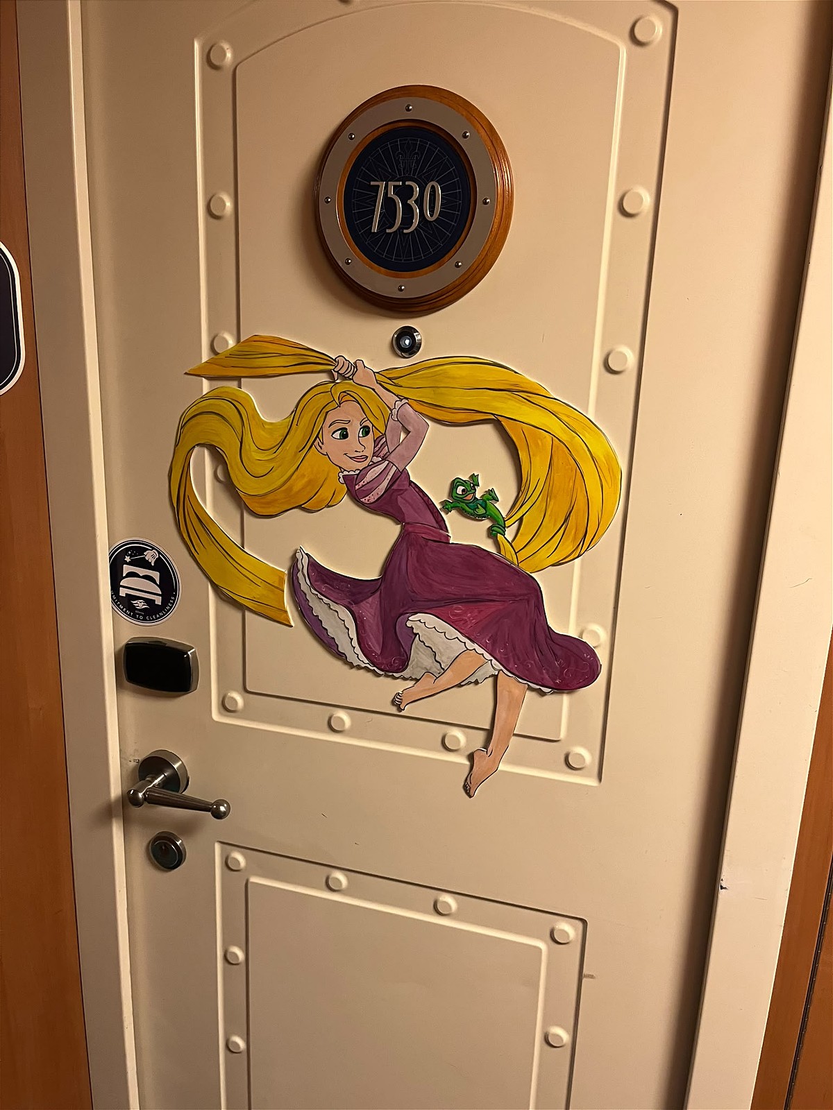 Rapunzel and Pascal hand-painted Disney cruise door art