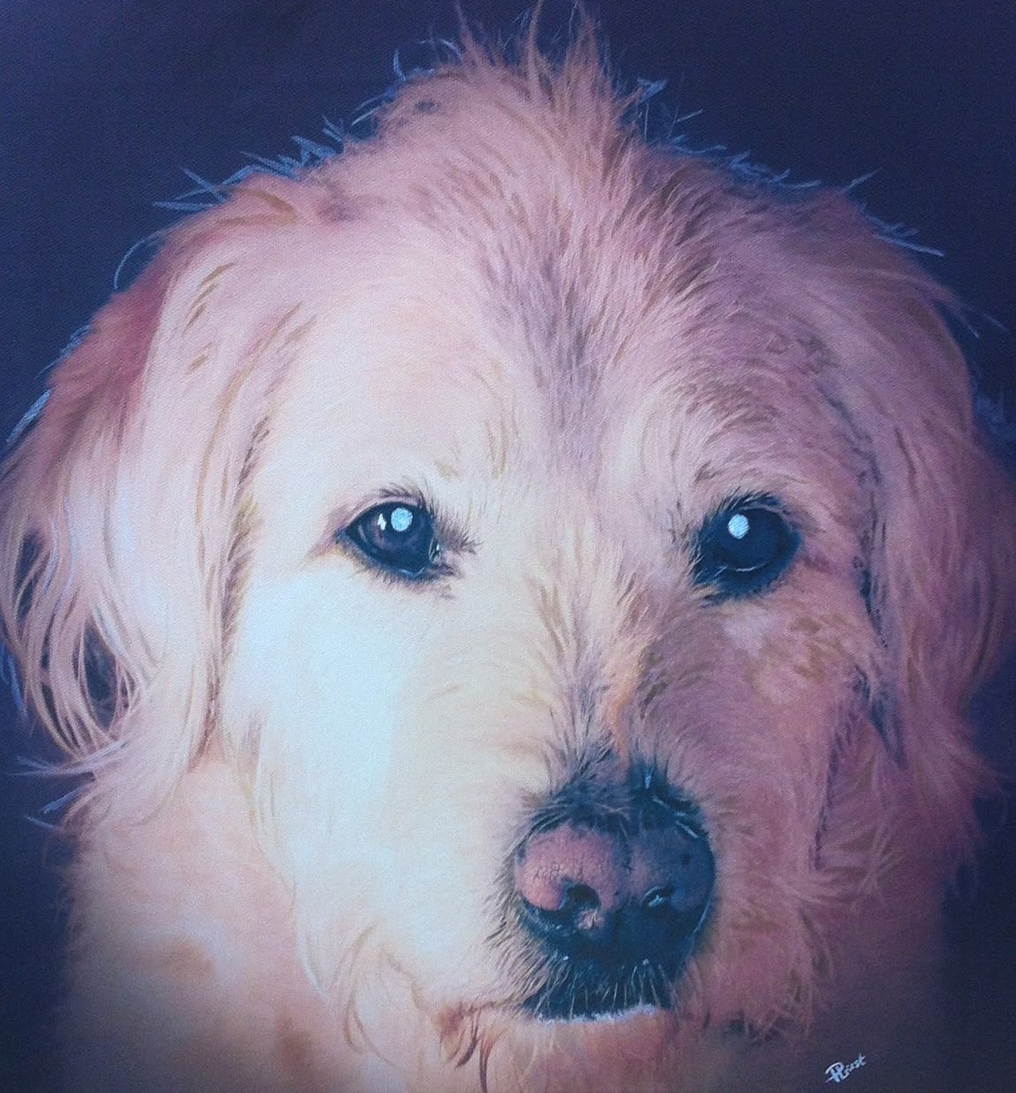 Watercolour portrait of a cockapoo puppy by Hannah Priest