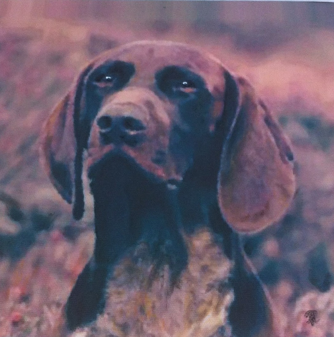 Oil portrait of a labrador