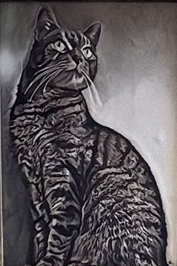Black and white pen and ink portrait of a tabby cat